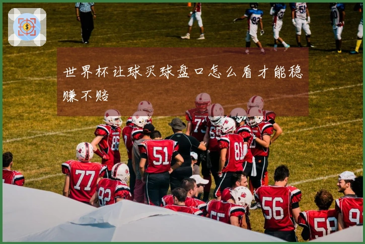 世界杯让球买球盘口怎么看才能稳赚不赔
