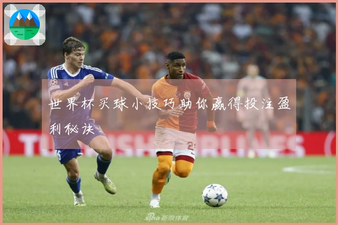 世界杯买球小技巧助你赢得投注盈利秘诀