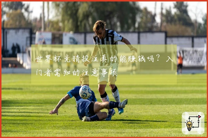 世界杯竞猜投注真的能赚钱吗？入门者需知的注意事项