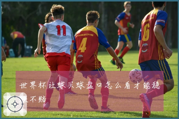 世界杯让球买球盘口怎么看才能稳赚不赔