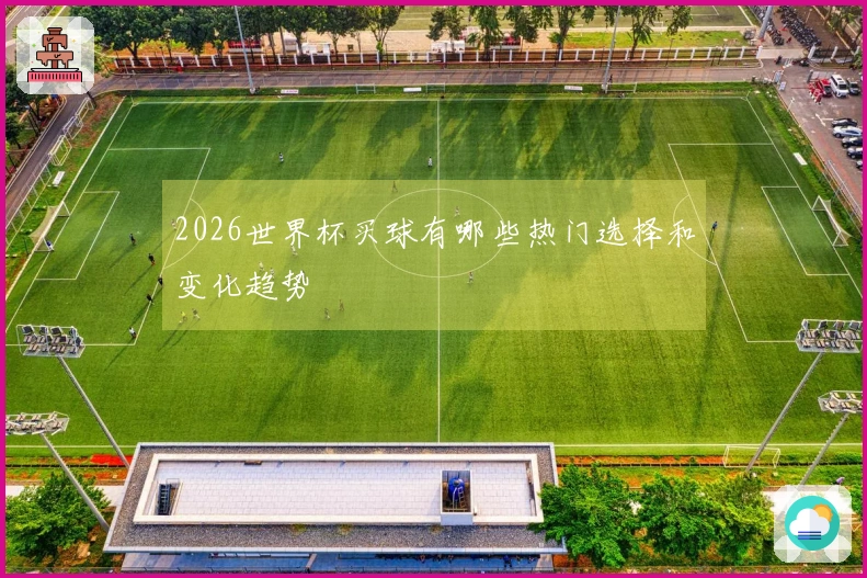 2026世界杯买球有哪些热门选择和变化趋势