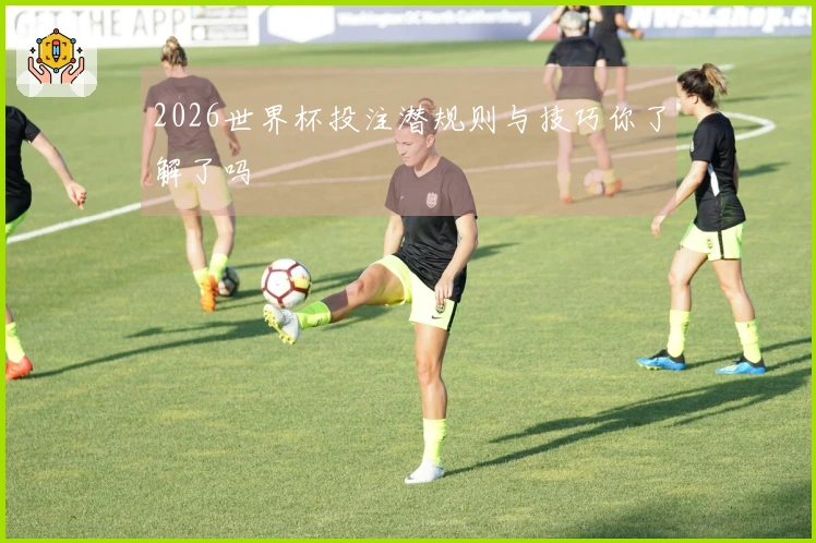 2026世界杯投注潜规则与技巧你了解了吗
