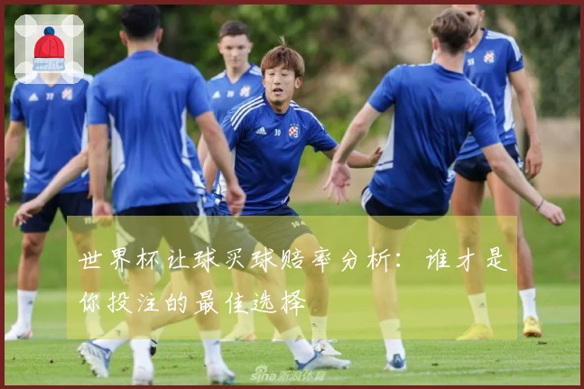 世界杯让球买球赔率分析：谁才是你投注的最佳选择