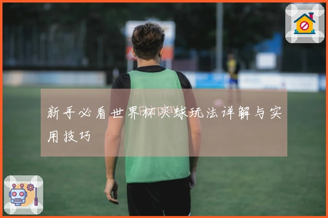 新手必看世界杯买球玩法详解与实用技巧