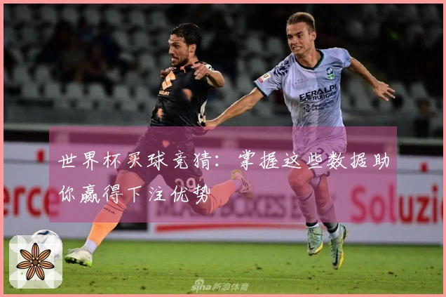 世界杯买球竞猜：掌握这些数据助你赢得下注优势