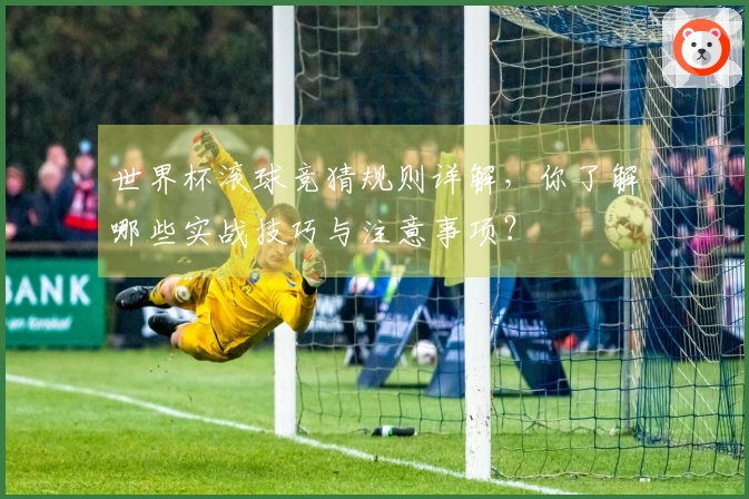 世界杯滚球竞猜规则详解，你了解哪些实战技巧与注意事项？
